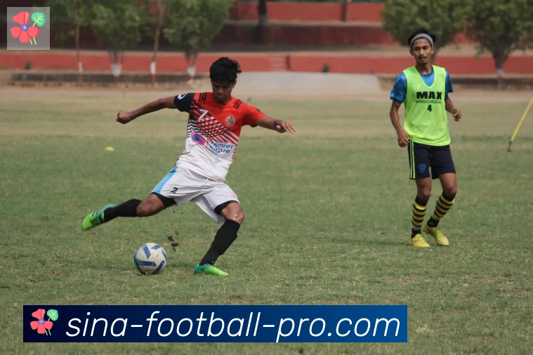 新浪体育服务体系