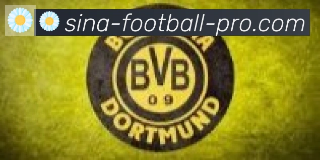 新浪体育合作伙伴