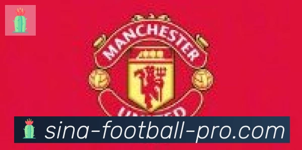 新浪体育合作伙伴