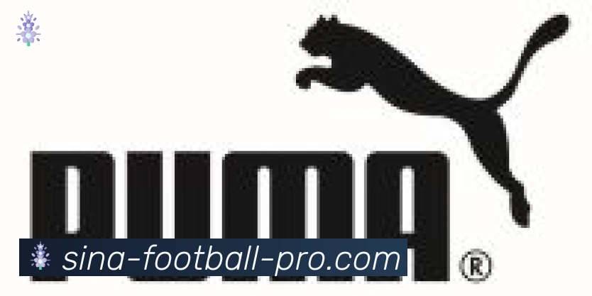 新浪体育合作伙伴